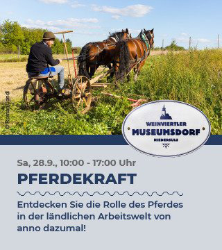 Tipps der Stadtspionin