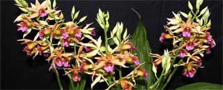 Tipps der Stadtspionin