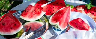 Tipps der Stadtspionin