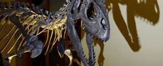 Tipps der Stadtspionin