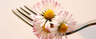 Tipps der Stadtspionin