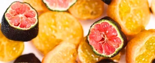 Tipps der Stadtspionin