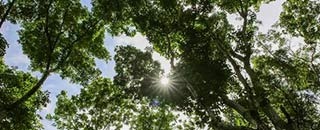 Tipps der Stadtspionin