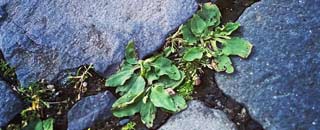 Tipps der Stadtspionin