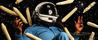 Tipps der Stadtspionin