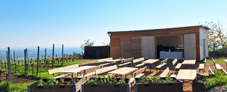 Tipps der Stadtspionin