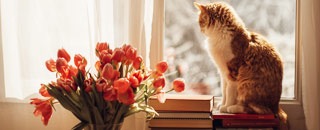 Tipps der Stadtspionin