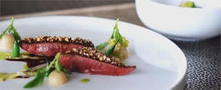 Tipps der Stadtspionin