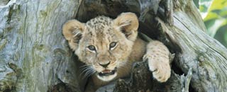 Tipps der Stadtspionin