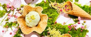 Tipps der Stadtspionin