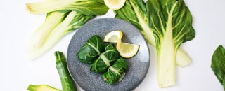 Tipps der Stadtspionin