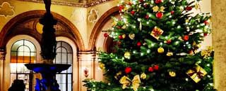 Tipps der Stadtspionin