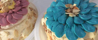 Tipps der Stadtspionin