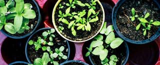 Tipps der Stadtspionin