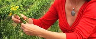 Tipps der Stadtspionin