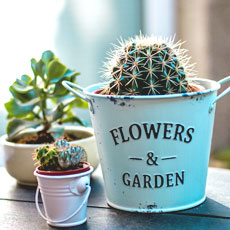 Tipps der Stadtspionin