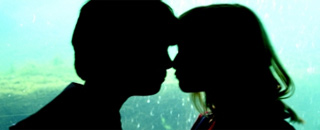 Tipps der Stadtspionin