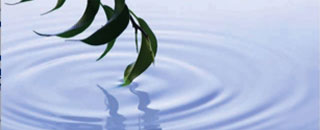 Tipps der Stadtspionin