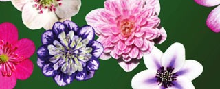 Tipps der Stadtspionin