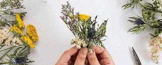 Tipps der Stadtspionin