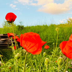 Tipps der Stadtspionin