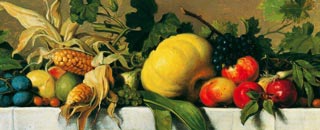 Tipps der Stadtspionin