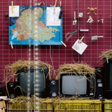 Tipps der Stadtspionin