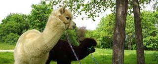 Tipps der Stadtspionin