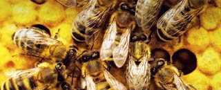 Tipps der Stadtspionin