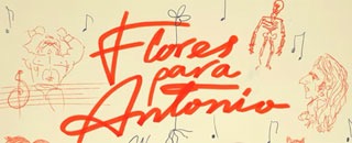 Tipps der Stadtspionin