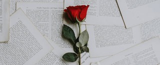 Tipps der Stadtspionin