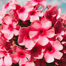 Tipps der Stadtspionin