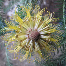 Tipps der Stadtspionin