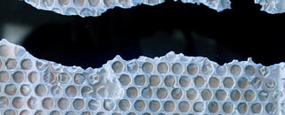 Tipps der Stadtspionin