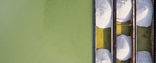 Tipps der Stadtspionin