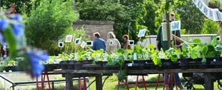 Tipps der Stadtspionin