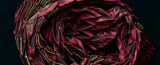 Tipps der Stadtspionin