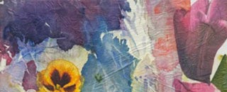 Tipps der Stadtspionin