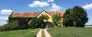 Tipps der Stadtspionin