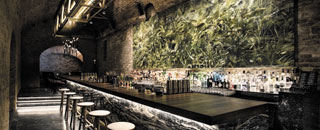 Tipps der Stadtspionin