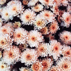 Tipps der Stadtspionin