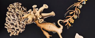 Tipps der Stadtspionin