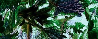 Tipps der Stadtspionin