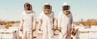 Tipps der Stadtspionin