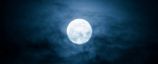 Tipps der Stadtspionin