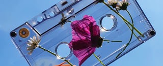 Tipps der Stadtspionin