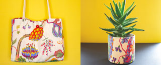 Tipps der Stadtspionin