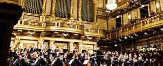 Tipps der Stadtspionin