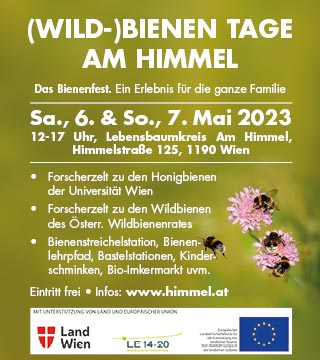 Tipps der Stadtspionin