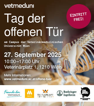 Tipps der Stadtspionin